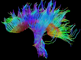 Illustration for article titled These Science Photos Are So Beautiful They're Basically Art